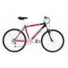 Bicicleta carrera mod. B